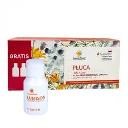 Import produktów XML malowia.pl